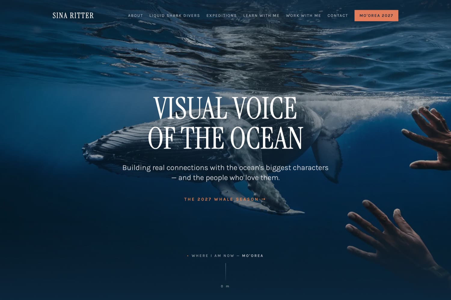Sina Ritter, the live site's home page